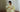 summer collection by Zara Shahjahan