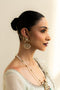 Mehraab Earnings