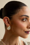 Taani Earnings