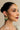 Karnika Earnings