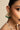 Karnika Earnings