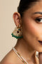 Karnika Earnings