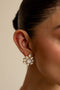 Taani Earnings
